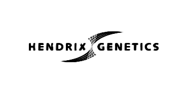 hendrixsgenetics-monocromatico-2